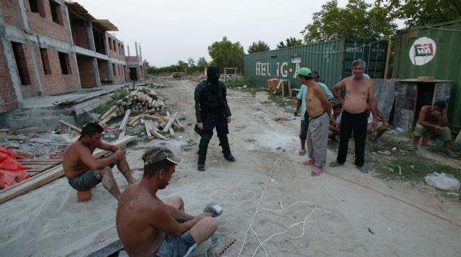 ilegali pe plantatia ozer