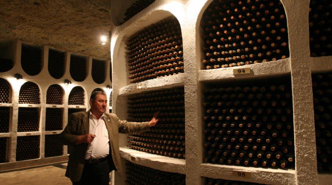 viticultura aur pentru moldova