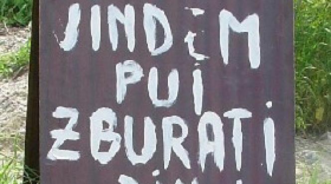 intrebari enervari mirari