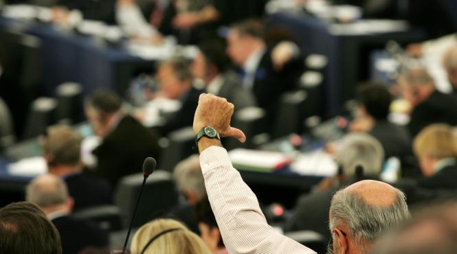 teme de campanie alegeri europene ciorovaieli de acasa