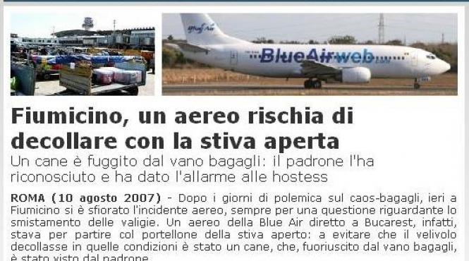 avion salvat de un caine