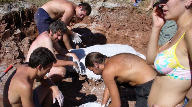 tustea cresa dinozaurilor