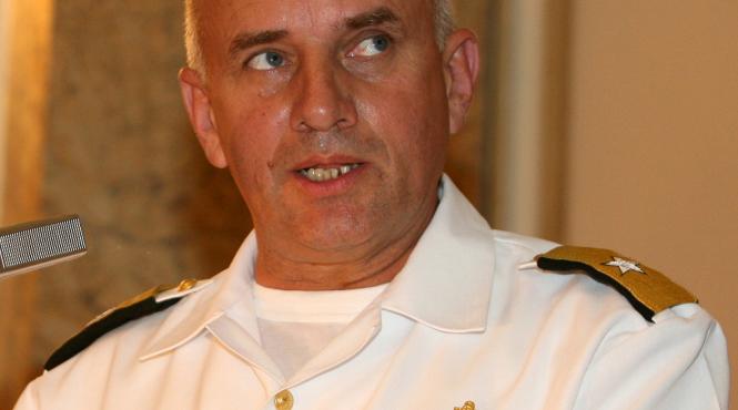 delfinul se intoarce in mare