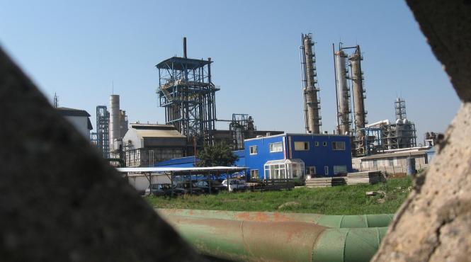 patronul interagro mai ingroapa o firma