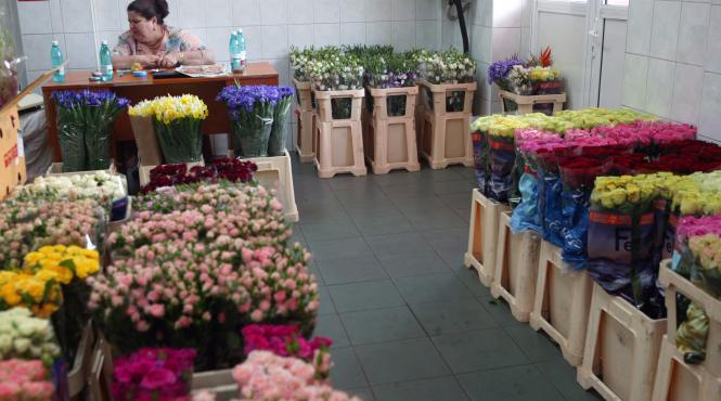 doamna tanta de la coada florii