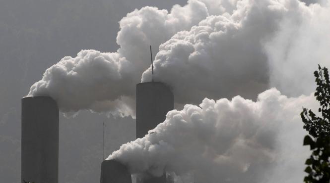 cinci companii risca sa fie inchise