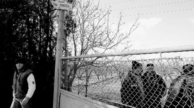 pomicola salvata partial