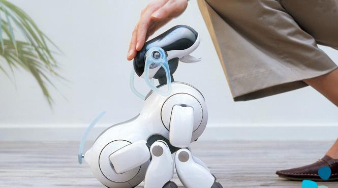 catelul robot prieten al soldatului