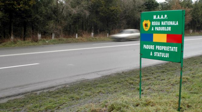 festivalul drujbelor