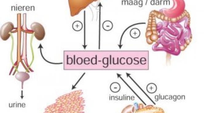 acizii grasi omega 3 reduc riscul diabet de tip 1 cu 55