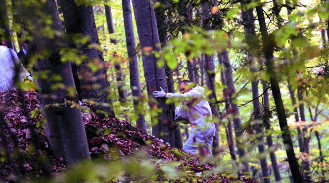 martor dupa pozele de la tv