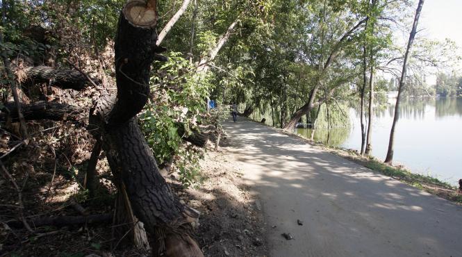 opriti macelul spatiilor verzi