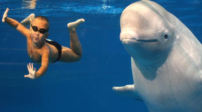 prietenie subacvatica