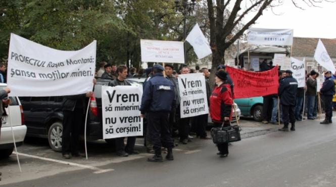 protest pro rosia montana la alba