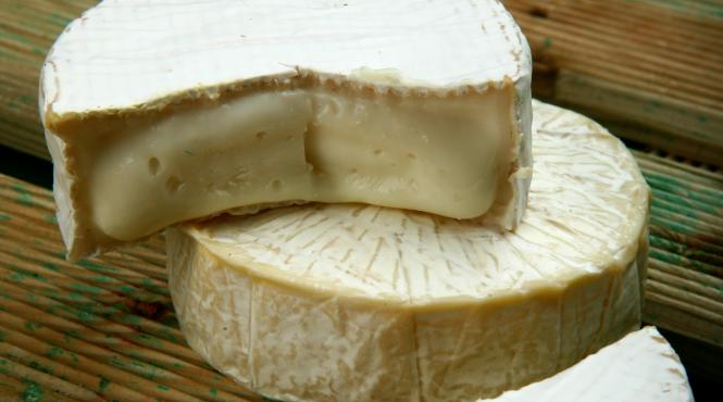 istoria de aur a branzei