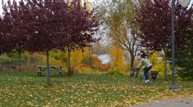 toamna rosie de la montreal