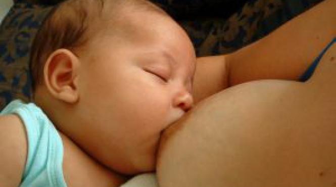 studiu alaptarea la san contribuie la dezvoltarea coeficientului de inteligenta