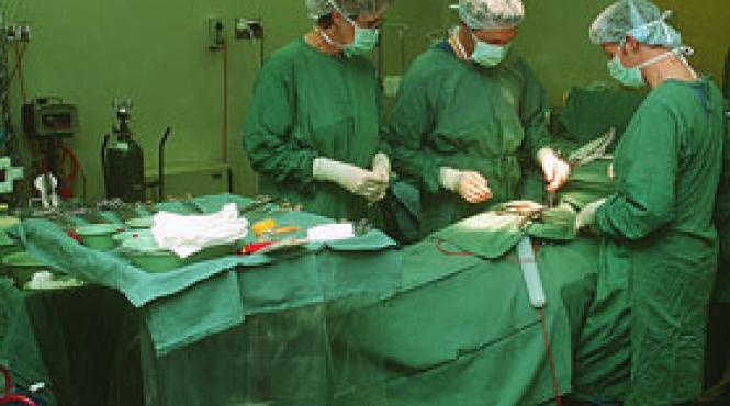 medicii unguri migreaza profesional in romania