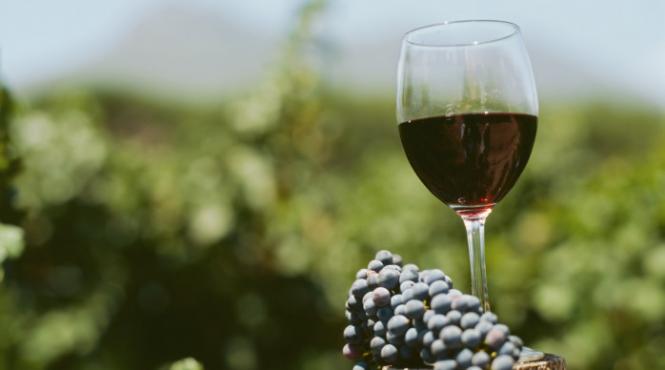 vinul rosu benefic in cancere si boala de inima