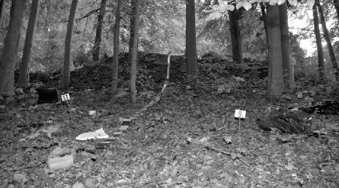 elodia ma gandesc sa imi dau demisia din viata asta