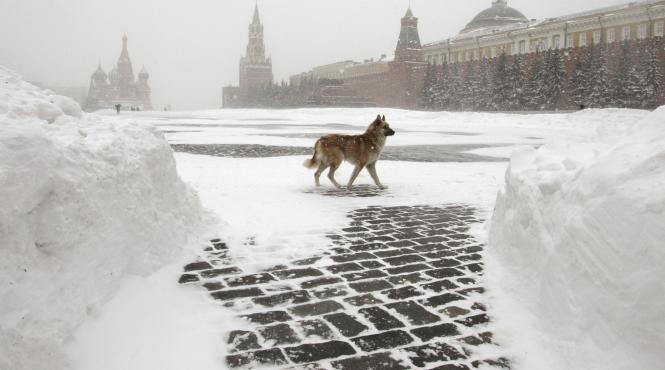 la moscova la moscova