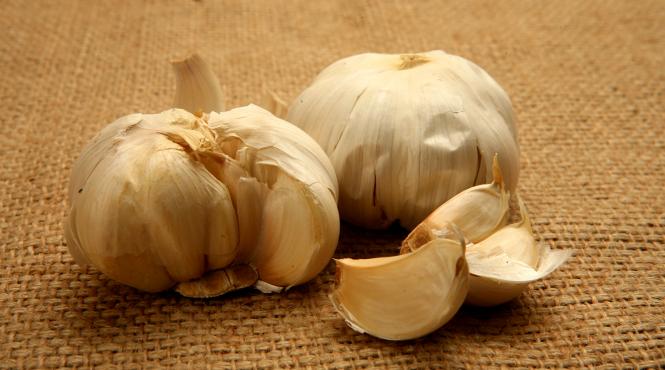 sarbatoare pazitul usturoiului de santandrei