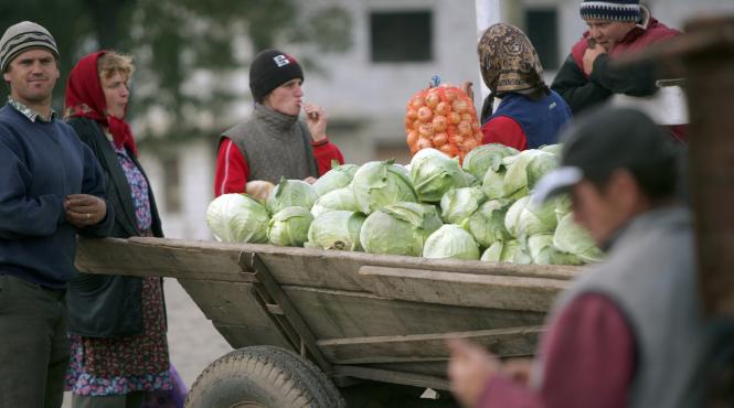 milisauti orasul varza
