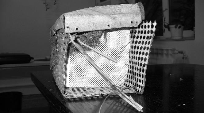 twin peaks de leordeni