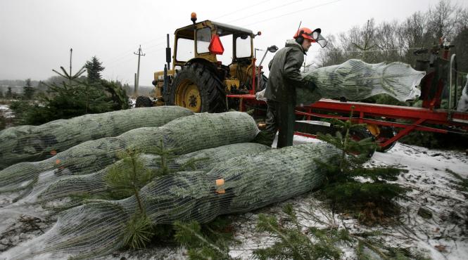 sarbatori eco fericite