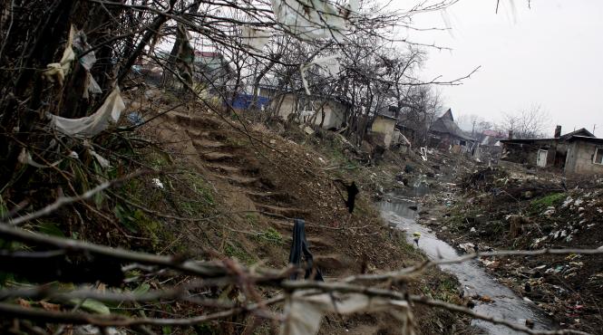 ruinati printre ruine