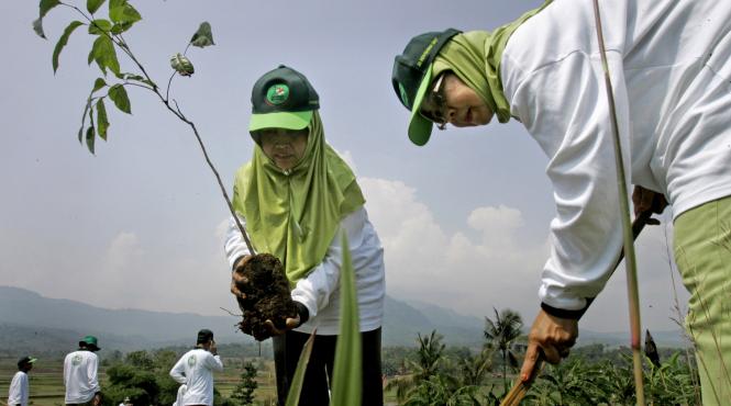 raport onu multumiti de reimpaduriri