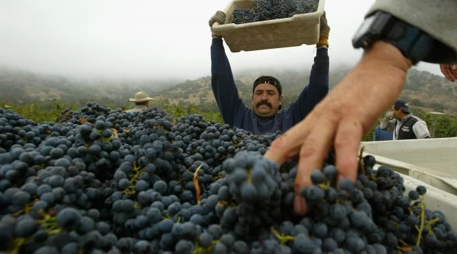 un an agricol de infarct