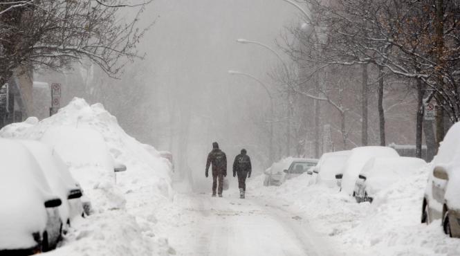 codul galben al zapezii