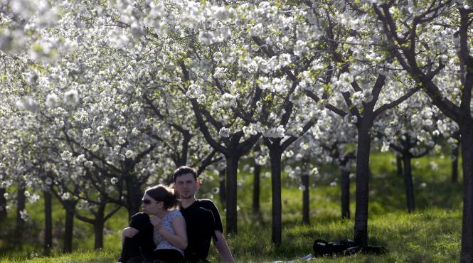 meteo caldurile incep din luna mai