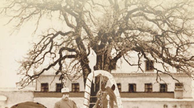 note despre bucuresti