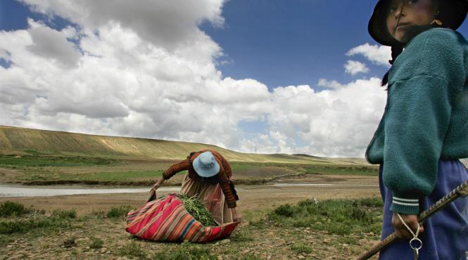 viata sub gaura din stratul de ozon