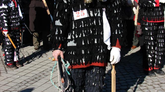 invazia lolelor in piata mare