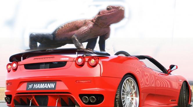 mi s s incinsa pe capota fierbinte 2006