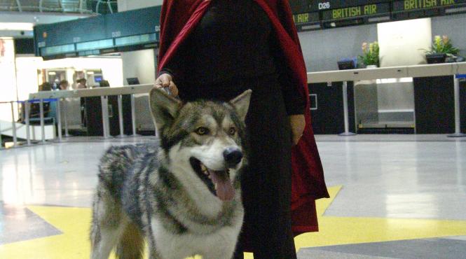 patricia arquette in medium 3