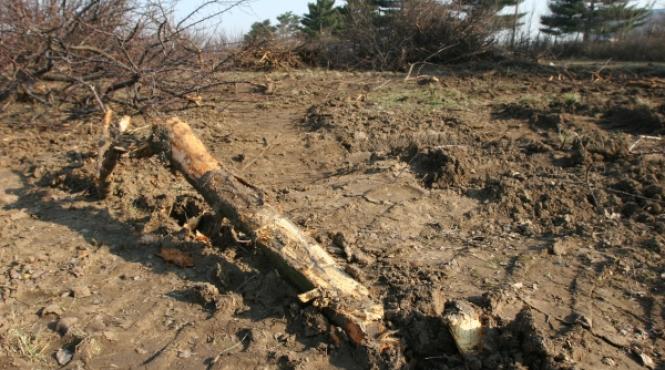 defrisari masive in baneasa