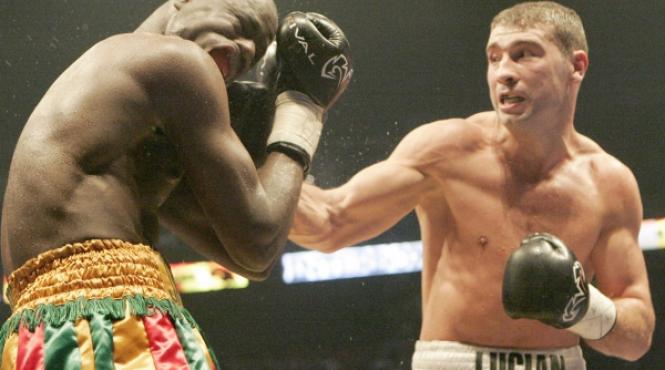 box bute gata de lupta