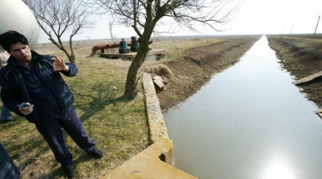 secretul schemelor lui stelian ogica