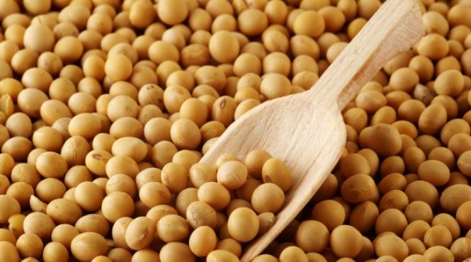 soia carnea vegetala