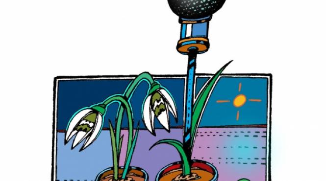 primavara nu intra in greva