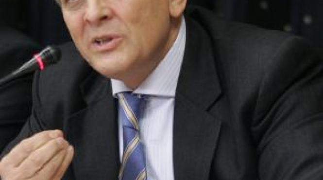 stolojan sustine revenirea monei musca in viata politica