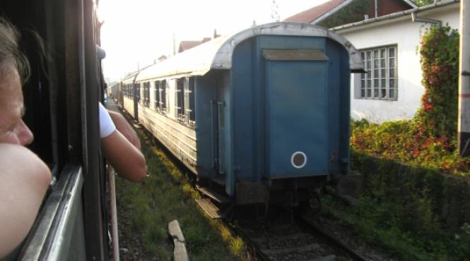 mihai necolaiciuc spaima cfr ului