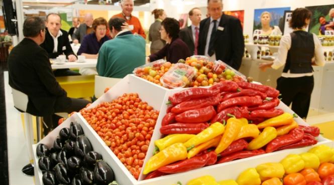 studiu mergeti pe eco