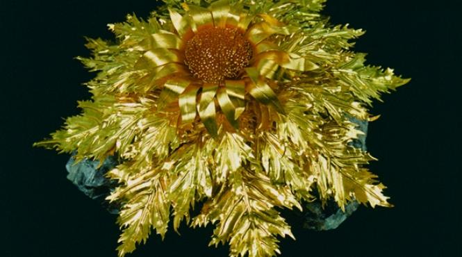 povestea in aur a lumii