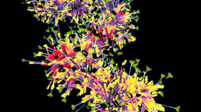 arta digitala din virusi spam troieni