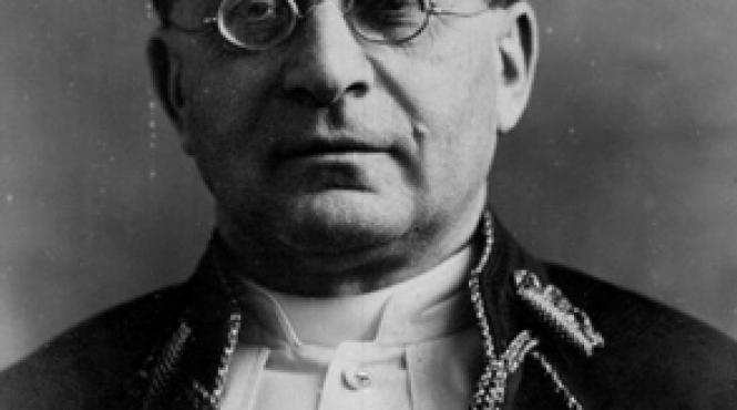 cate divizii are papa